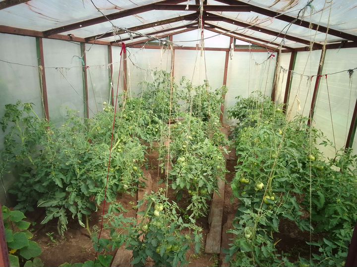 Дача 10 м² на участке 2,5 сот.