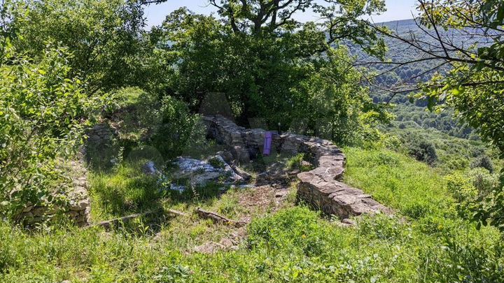 Участок 5,5 га (СНТ, ДНП)