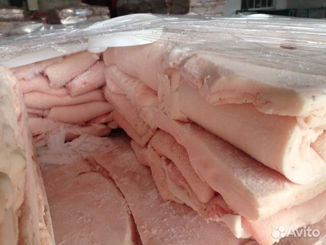 Шпик хребтовой