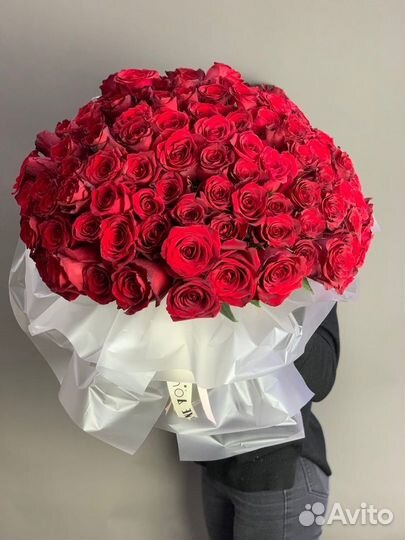 Роза Эквадор. Цветы. Букеты. Доставка