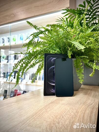 iPhone 12 Pro Max, 128 ГБ