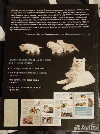 Энциклопедия про кошек