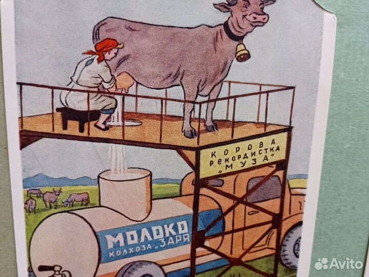 Альбом с открытками 1950-1955 гг