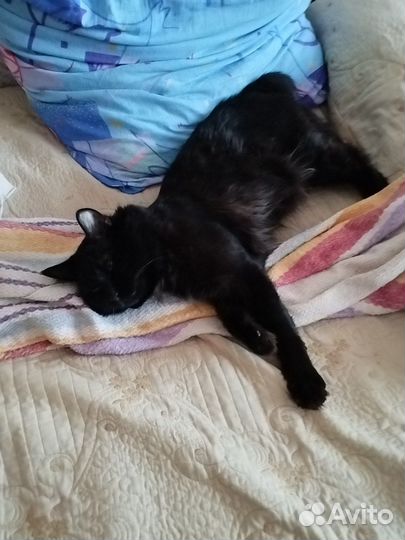 Одежда на отправку