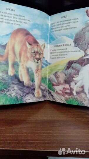 Детская книга. Стихи о животных