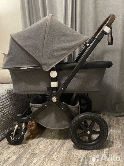 Коляска bugaboo cameleon 3 blend