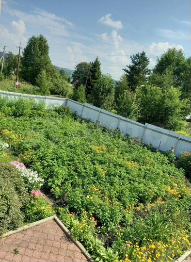 Дача 40 м² на участке 7 сот.