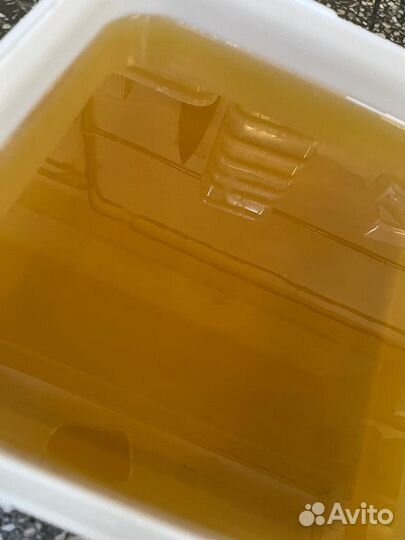 Акация свежая оптом