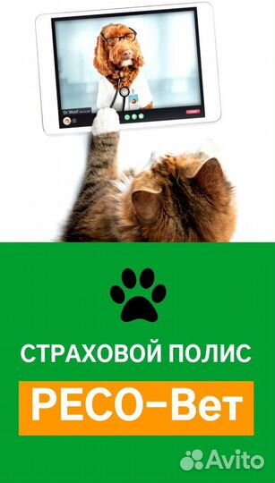 Телеветеринария