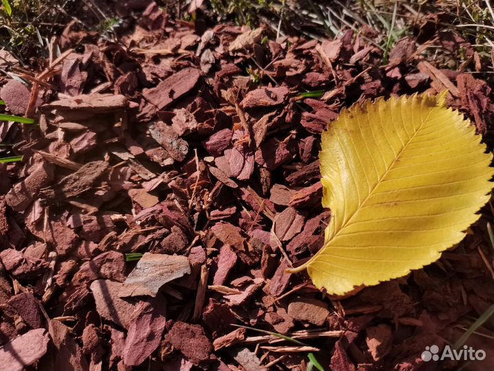 Кора лиственницы (мульча)