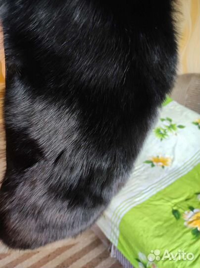 Меховой воротник песец