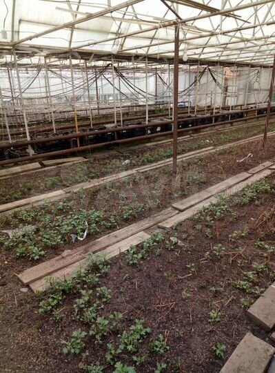 Дача 33 м² на участке 8 сот.