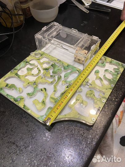 Формикарий без муравьев