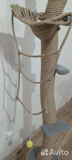 Когтеточка для кошек