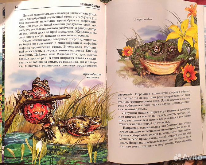 Детские книги о животных. Серия Узнай мир