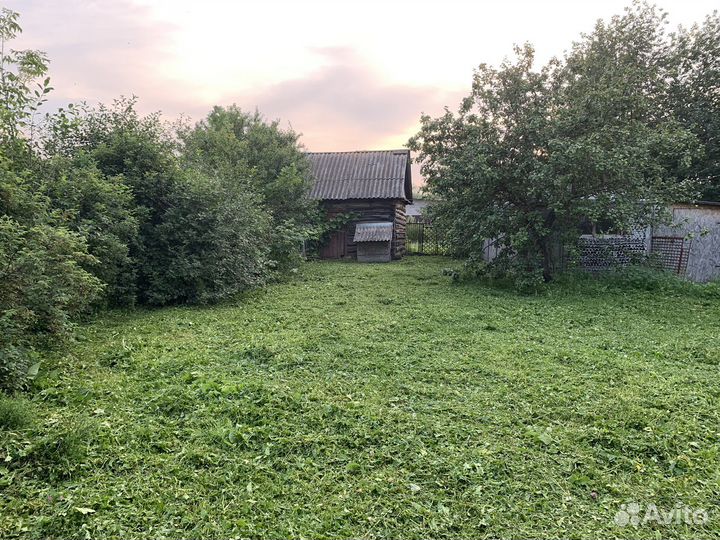 Покос травы триммером