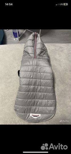 Одежда для собаки