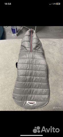 Одежда для собаки