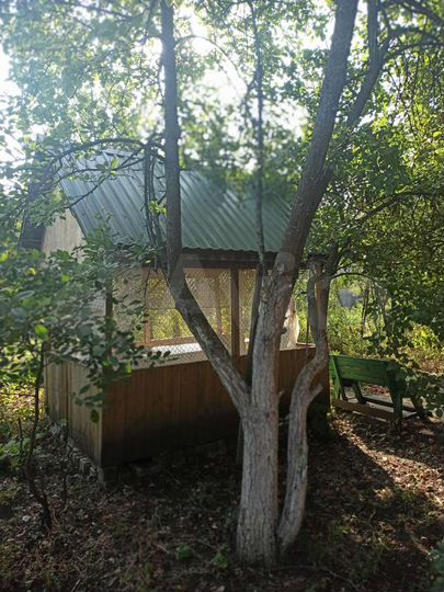 Дом 83,7 м² на участке 12 сот.