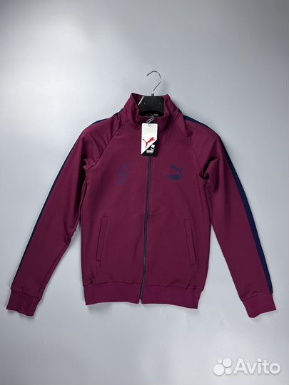 Спортивный Костюм Puma