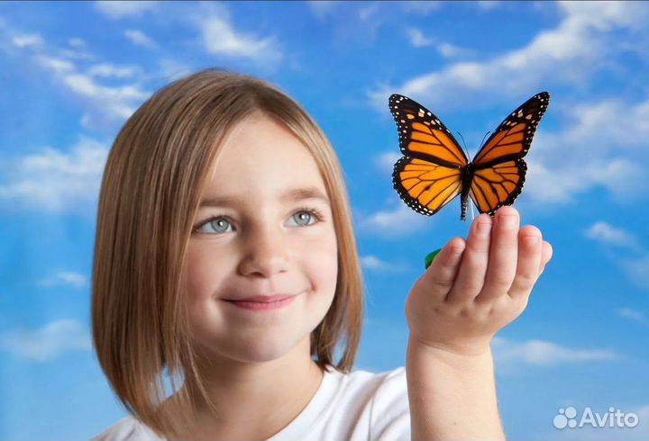 Детская Миниферма Тропических Бабочек ф/б-20