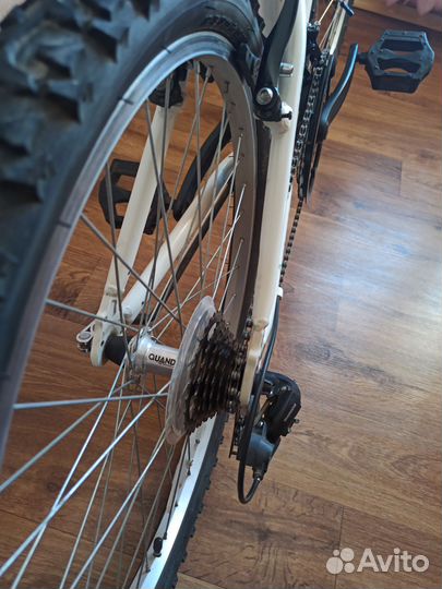 Велосипед Alpine Bike 24