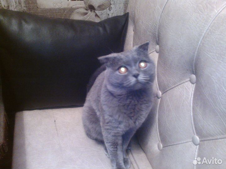 Приглашаем на вязку бесплатно