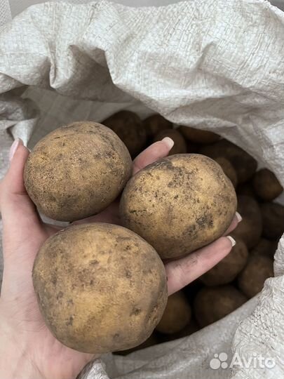 Картошка с доставкой