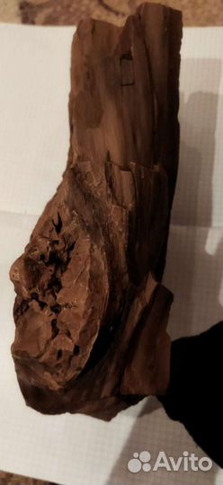 Старинное Окаменелое дерево