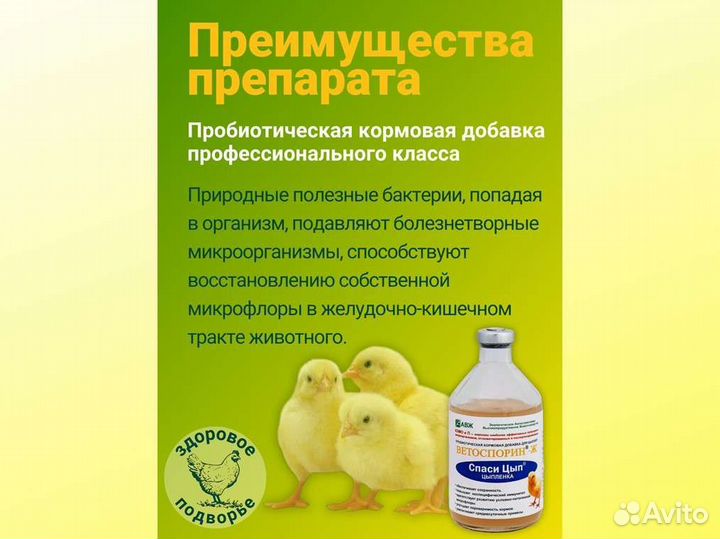 Кормовые добавки для домашней птицы