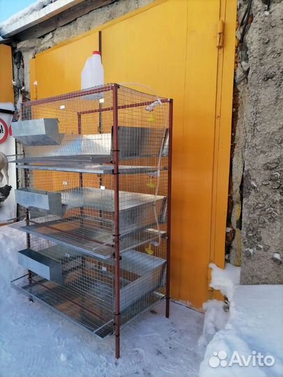 Продаем клетки для содержания кур несушек, бройлер