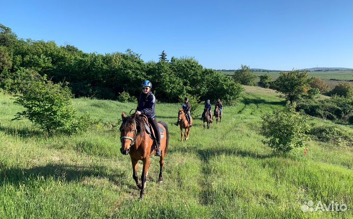 Конный тур по Крыму на 2 дня. Прогулки, экскурсии