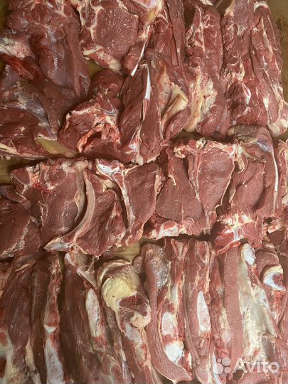 Лакомства для собак