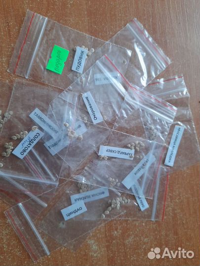 Продам семена томатов, перцев,баклажанов,тыквы