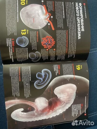 Энциклопедия