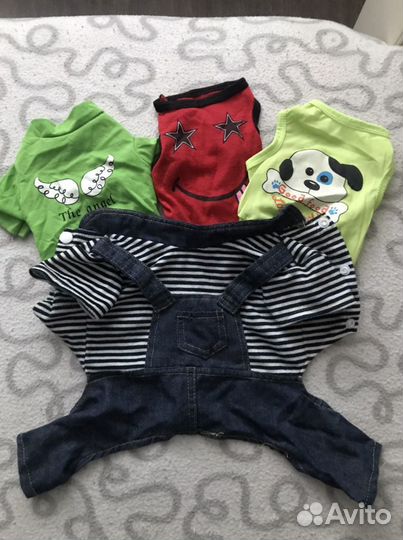 Одежда для собак