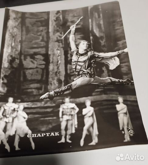 Набор ретро фотографий Синяя птица и Спартак