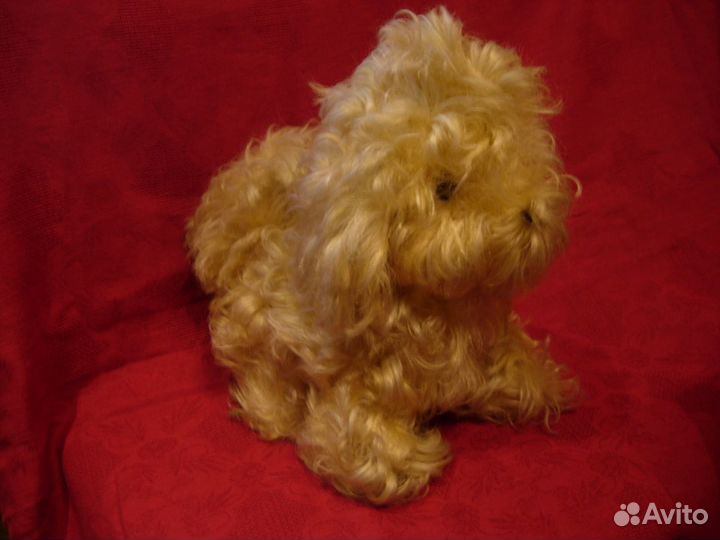 Собачка мягкая (СССР)