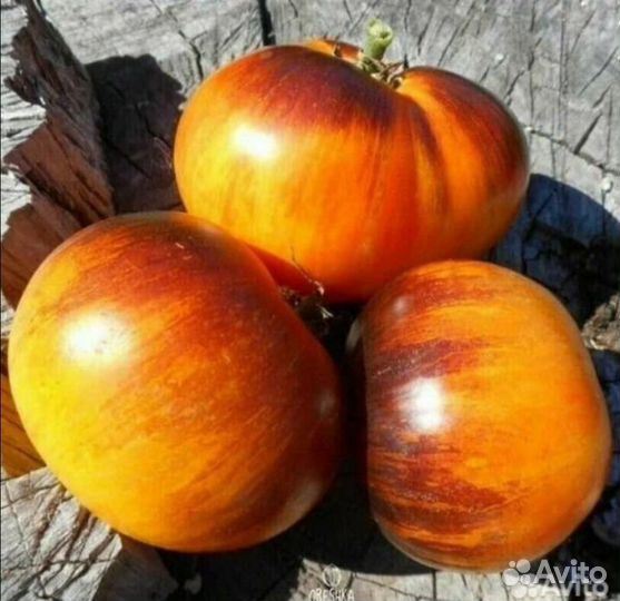 Семена томата Мечта Алисы