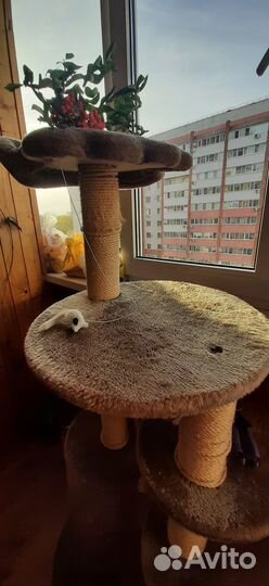 Домик для кошки бу