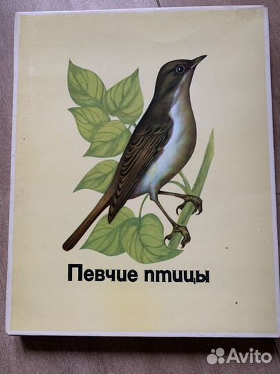 Коллекционный подарочный набор спичек