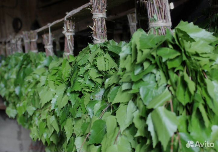 Березовые веники банные