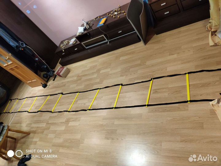 Координационная лестница