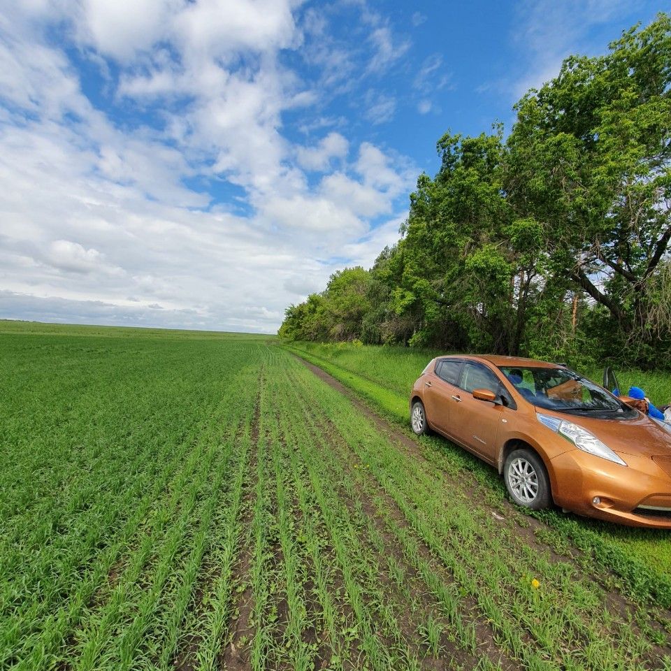 Nissan Leaf: фото владельца