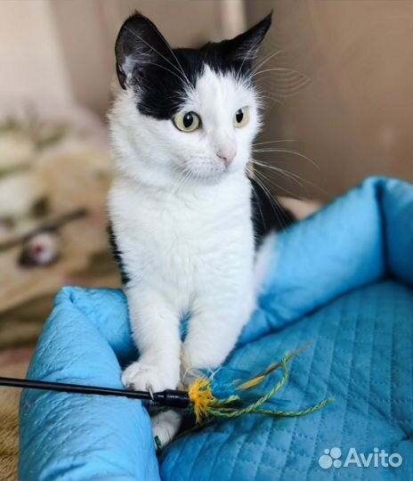 Стефания хочет домой