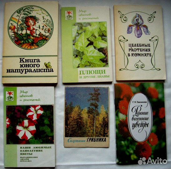 Книги растения травы цветы грибы лес кулинария