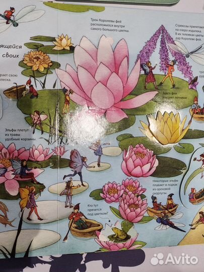 Страна фей Открой окошко Дэвидсон Лиги