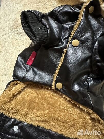 Одежда для собак