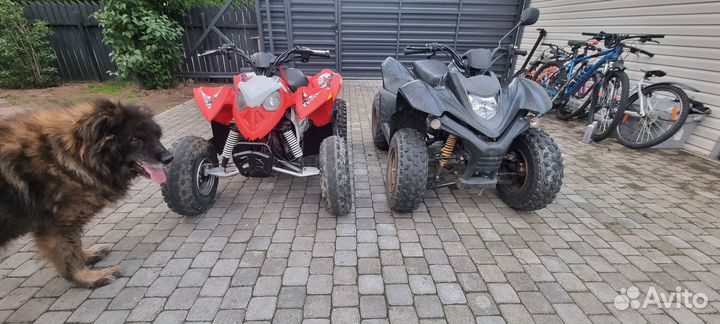 Polaris outlaw 90