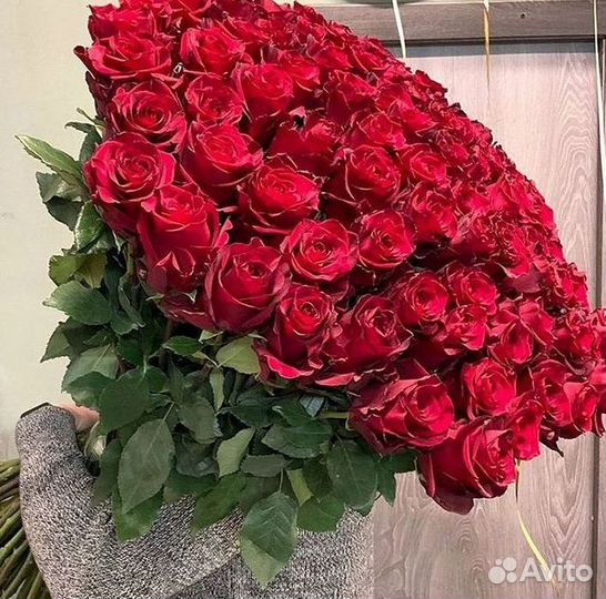 Высокие розы Гигантские розы 110